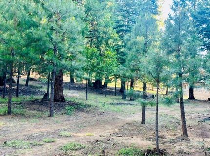275 Osprey Loop, Lot #5, Lake Almanor, CA 96020 Photo