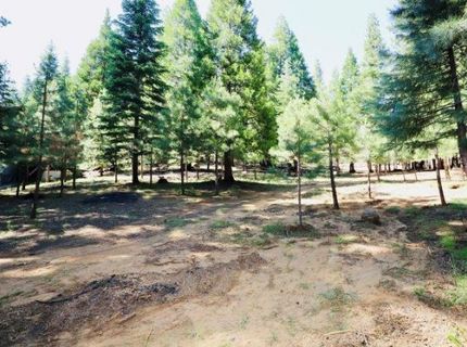 275 Osprey Loop, Lot #5, Lake Almanor, CA 96020 Photo