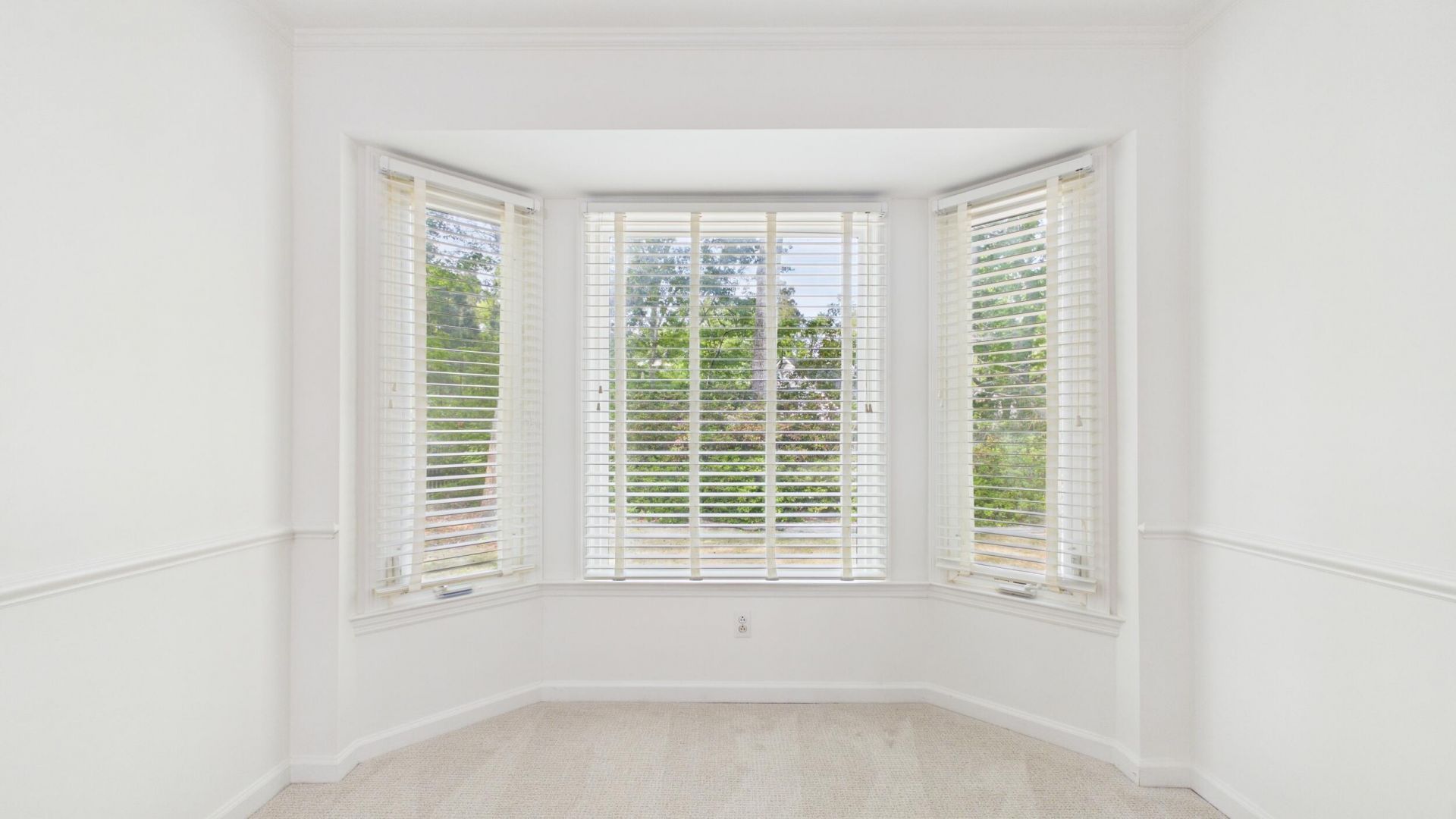 1039 Governors Road Photo 25