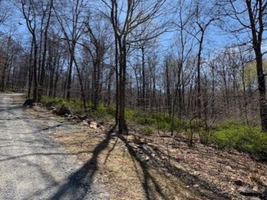 16013 Foxville Deerfield Road, Sabillasville, MD 21780 Main Photo