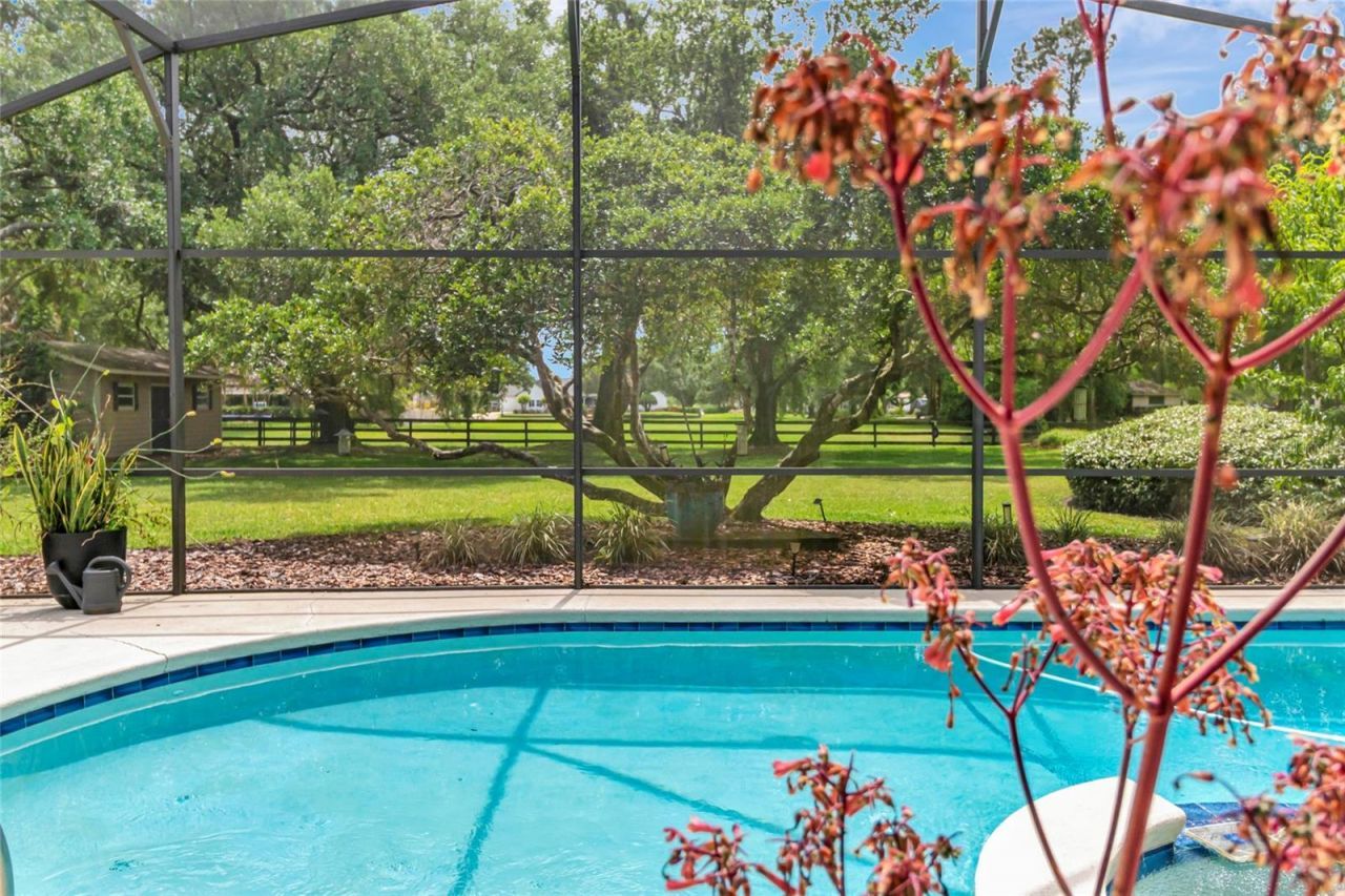 14140 Country Estate Drive , Winter Garden, FL 34787 Photo