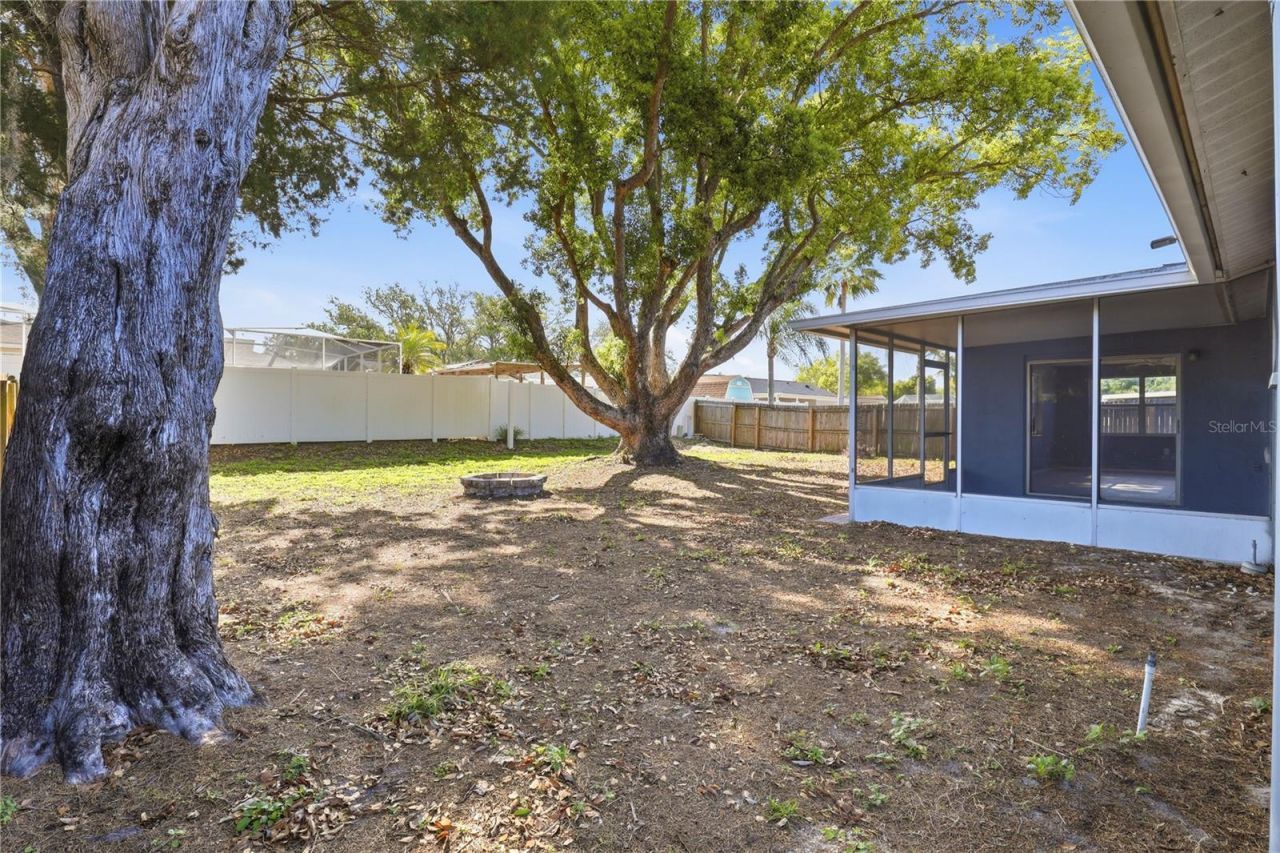 3406 Paloma Drive, Holiday, FL 34690 Photo