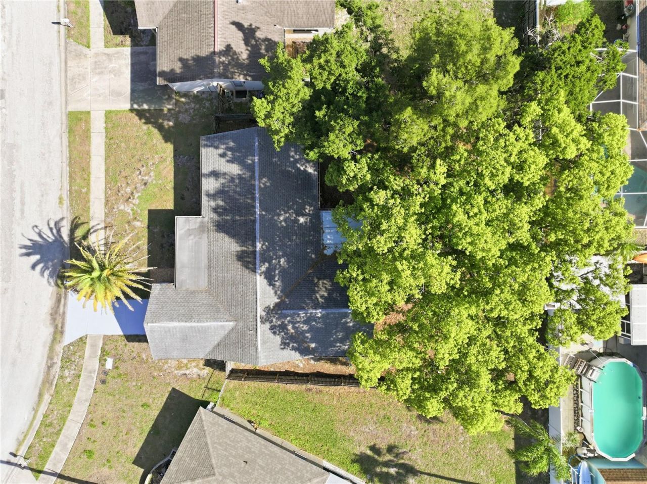 3406 Paloma Drive, Holiday, FL 34690 Photo