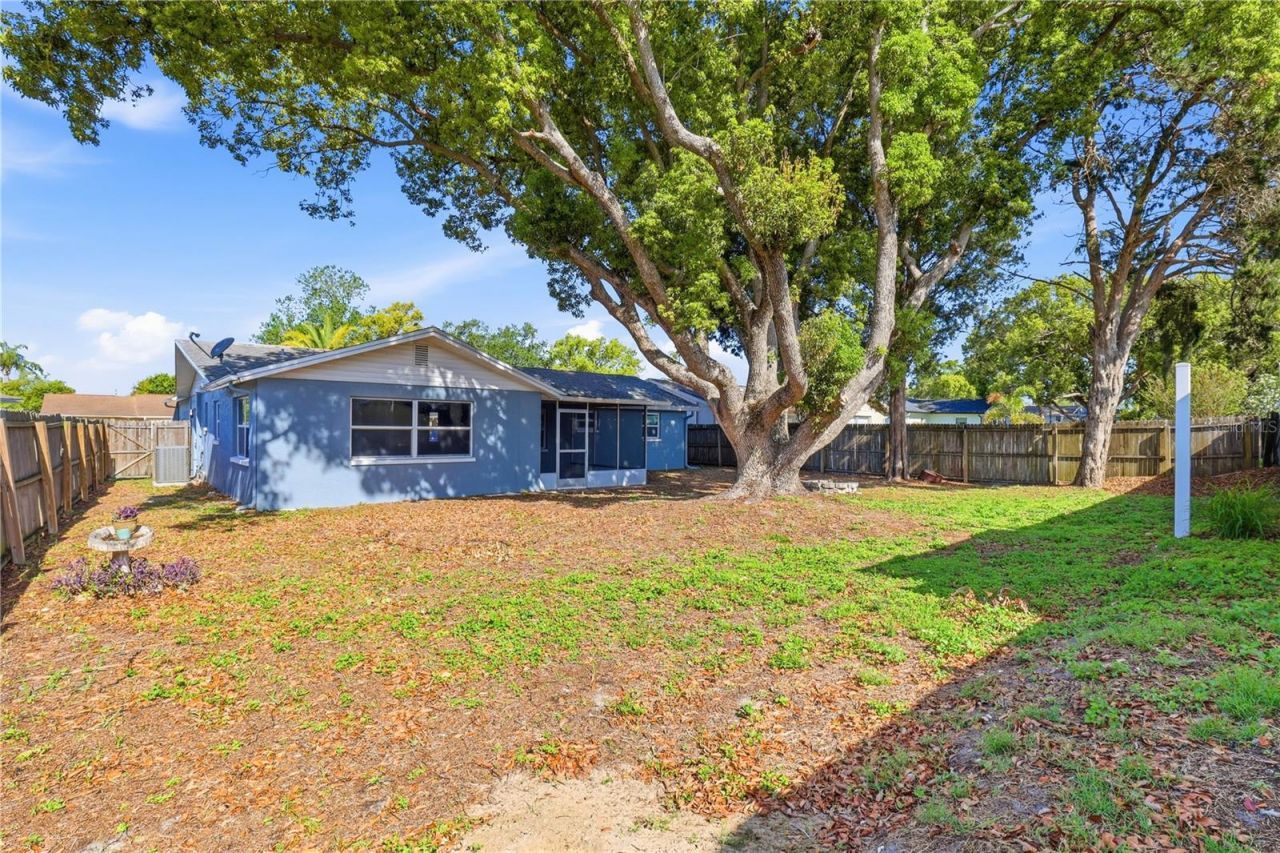 3406 Paloma Drive, Holiday, FL 34690 Photo