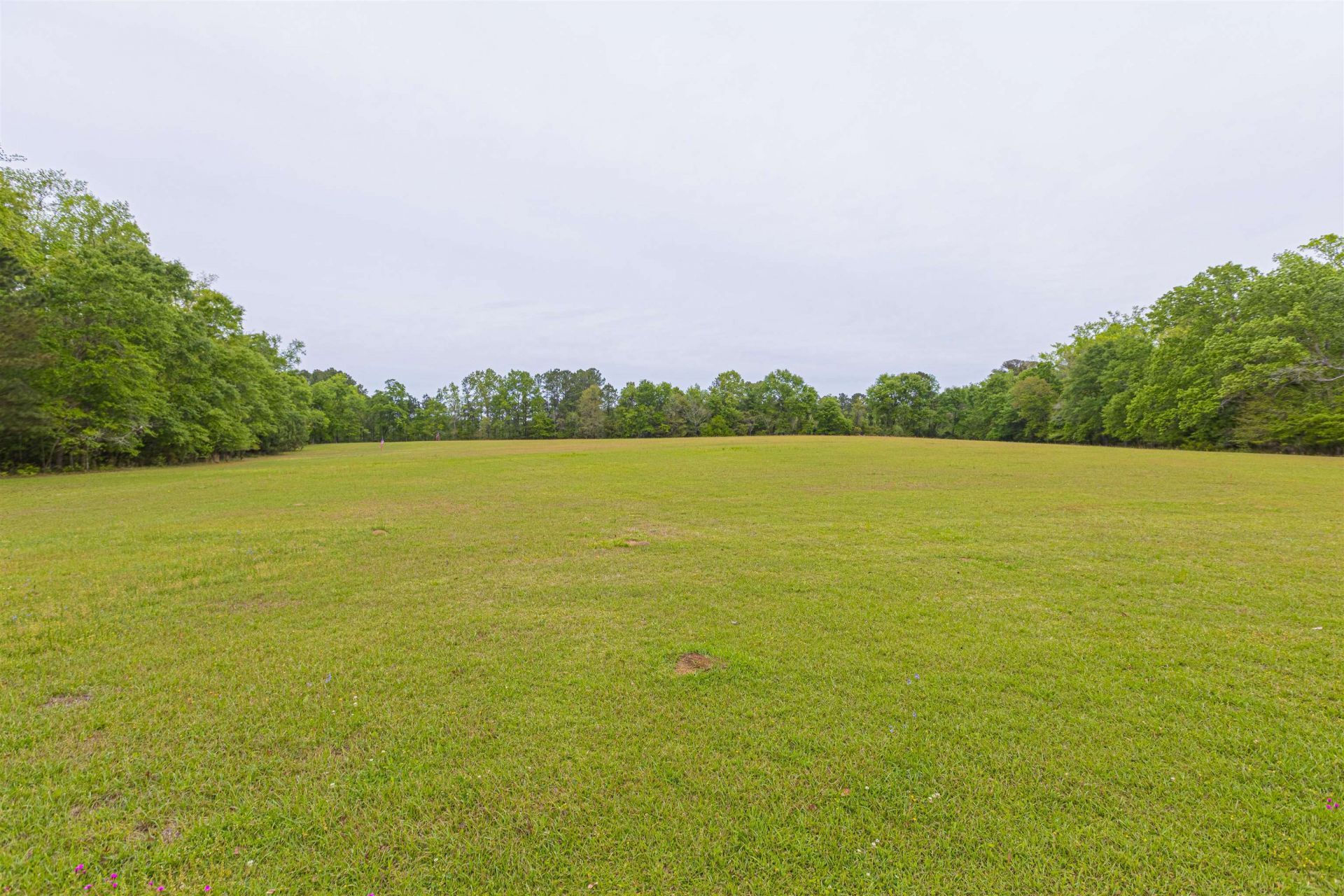 8946 Highmarket St. Photo 42