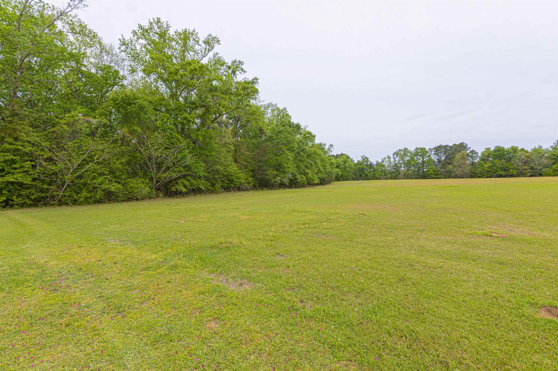 8946 Highmarket St. Photo 43