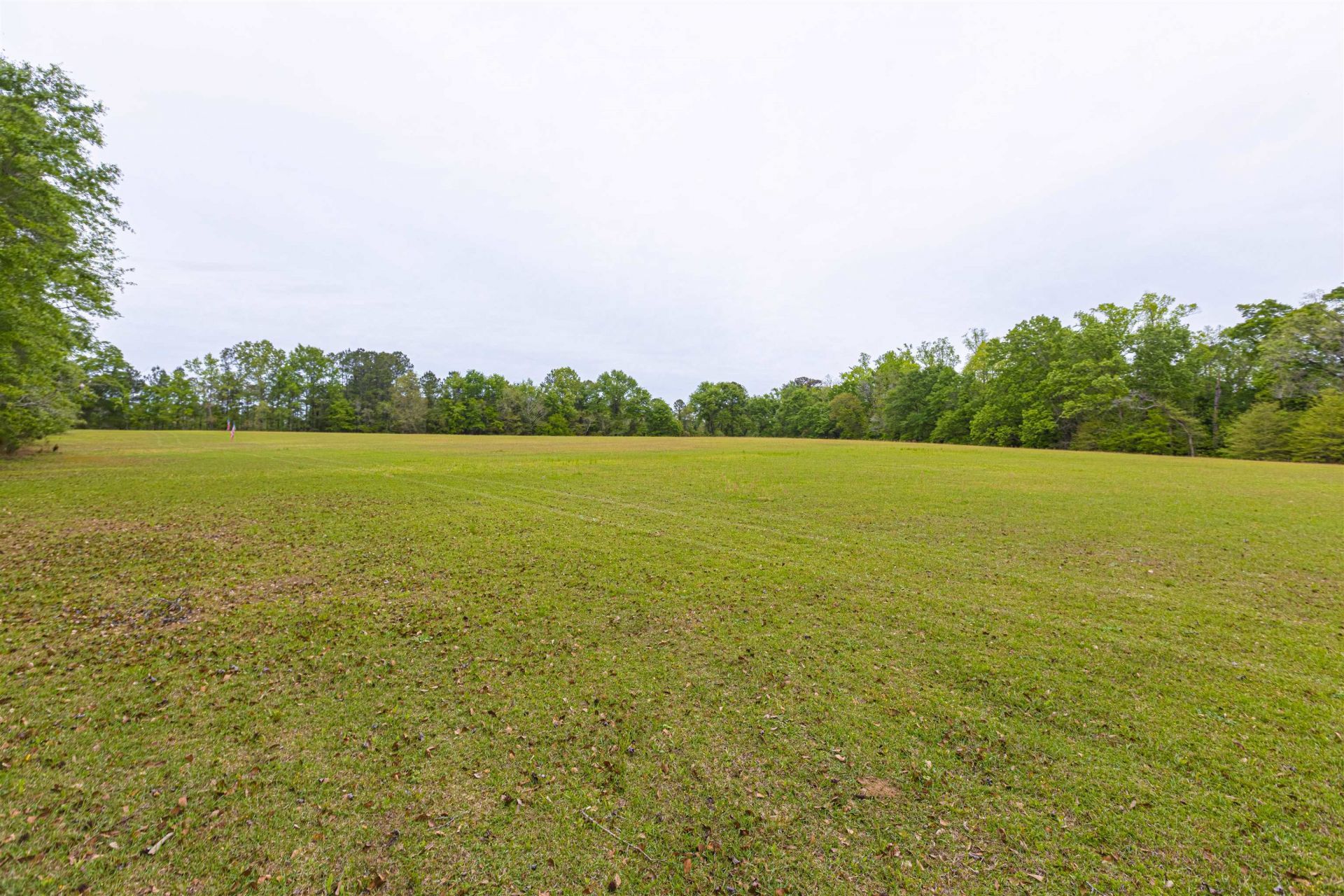 8946 Highmarket St. Photo 44