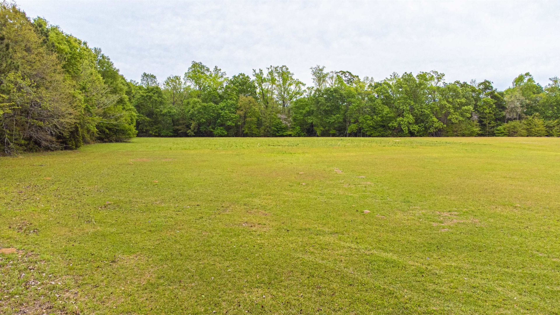 8946 Highmarket St. Photo 63