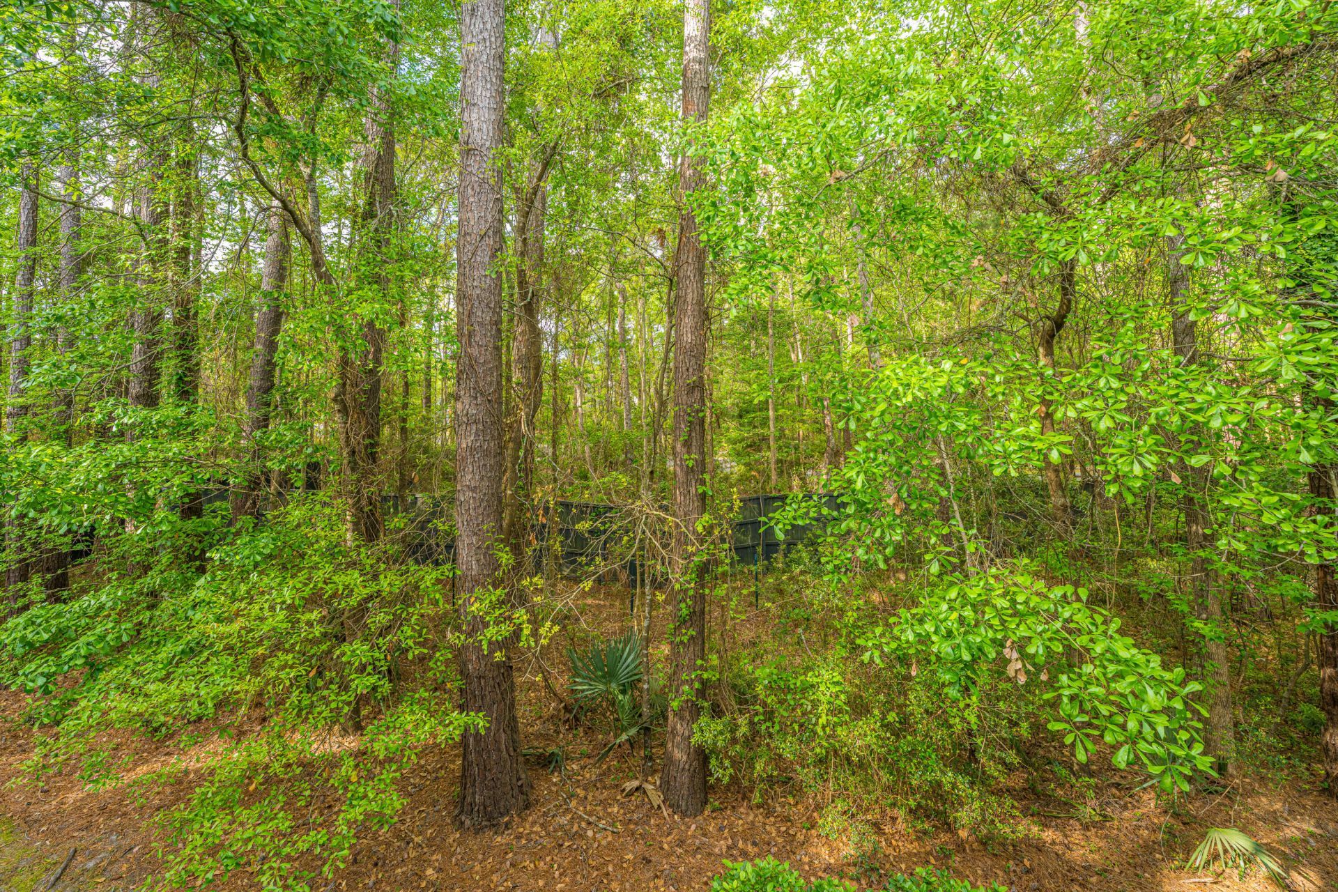 264 Fair Sailing Road Photo 23