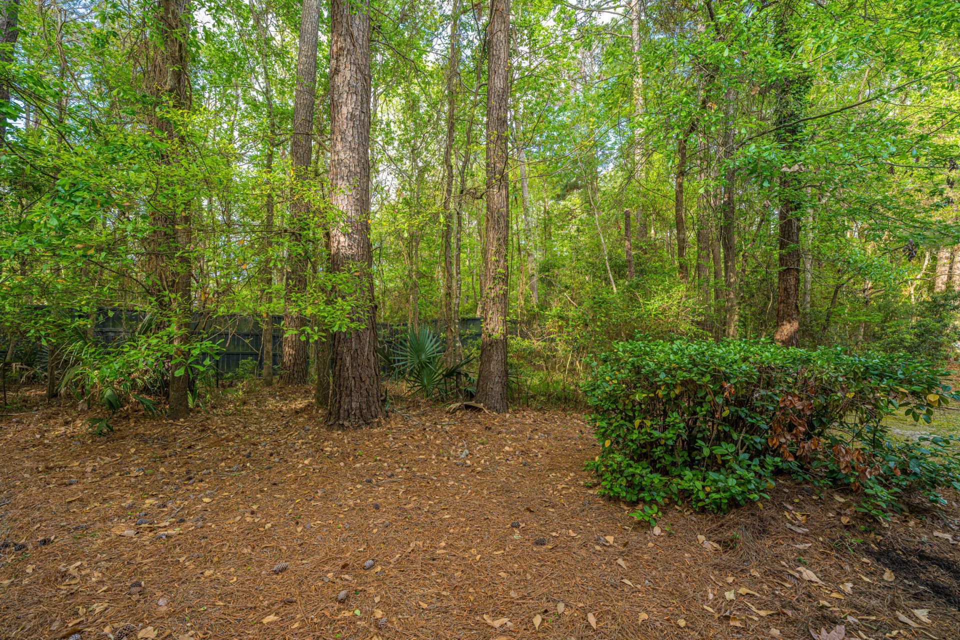 264 Fair Sailing Road Photo 35