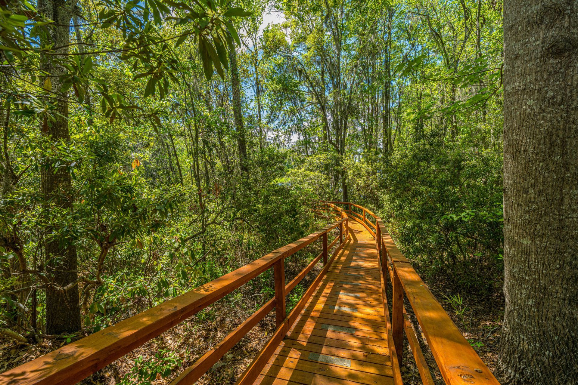 264 Fair Sailing Road Photo 39