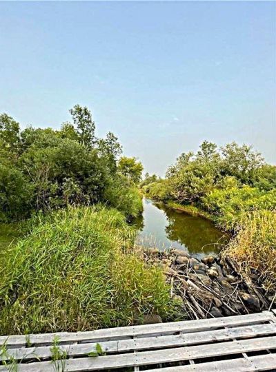 16913 220th Street, Milaca, MN 56353 Main Photo