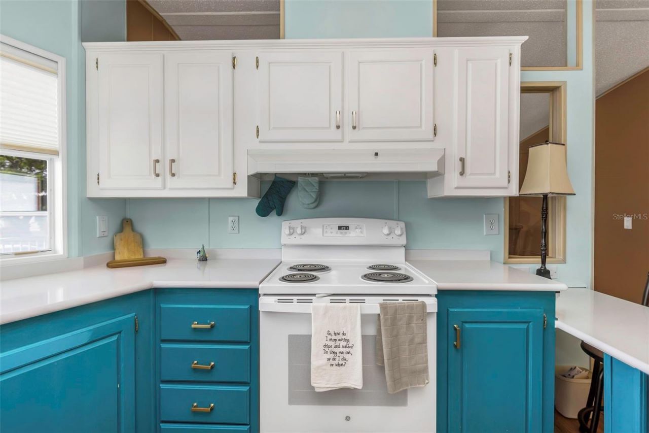 106 Thatch Palm Street W, Largo, FL 33770 Photo