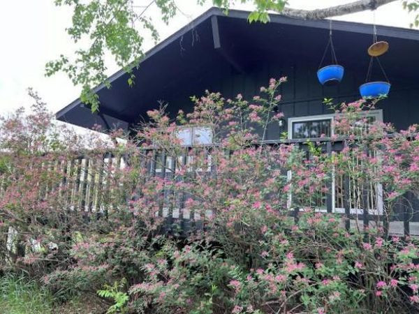 5834 County 4 NE, Remer, MN 56672