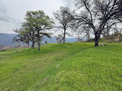 141 Gold Pan Ct, Bangor, CA 95914 Photo