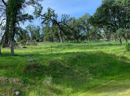 141 Gold Pan Ct, Bangor, CA 95914 Photo