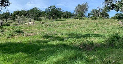 141 Gold Pan Ct, Bangor, CA 95914 Photo