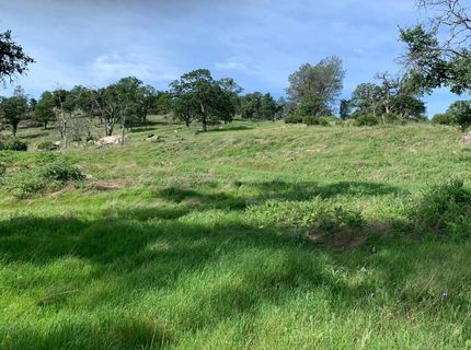 141 Gold Pan Ct, Bangor, CA 95914 Photo