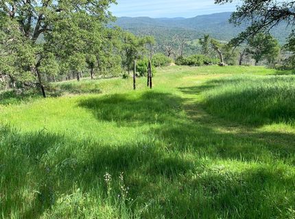 141 Gold Pan Ct, Bangor, CA 95914 Photo