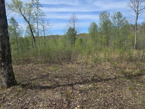 360 James Zimmerman Rd , Hampshire, TN 38461