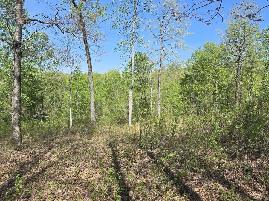 Property Image 6