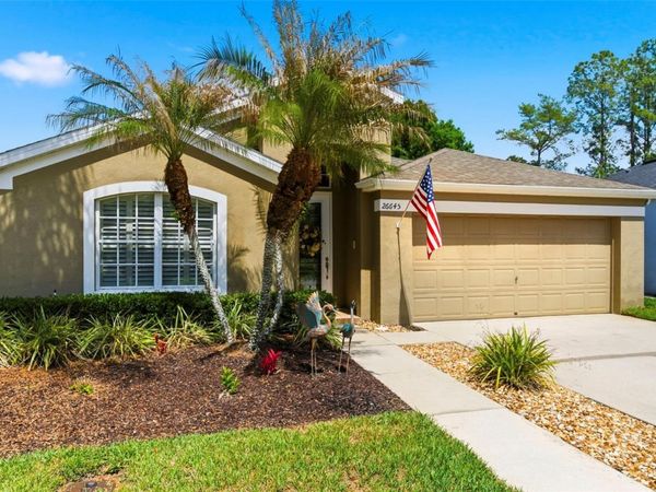 26645 SEA HERO CIRCLE, WESLEY CHAPEL, FL 33544