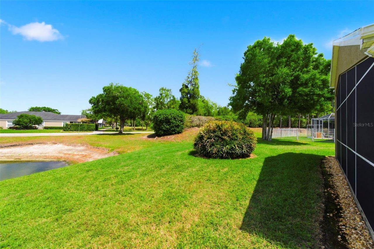 26645 Sea Hero Circle, Wesley Chapel, FL 33544 Photo