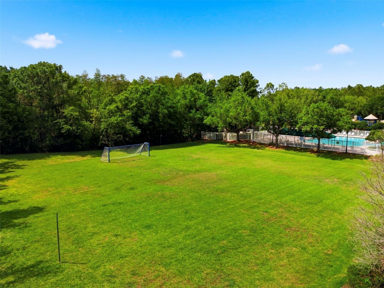 26645 Sea Hero Circle, Wesley Chapel, FL 33544 Photo