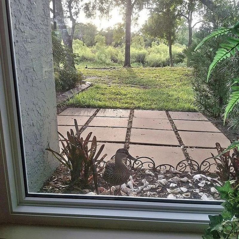 3530 Crystal Lakes Court , Sarasota, FL 34235 Photo