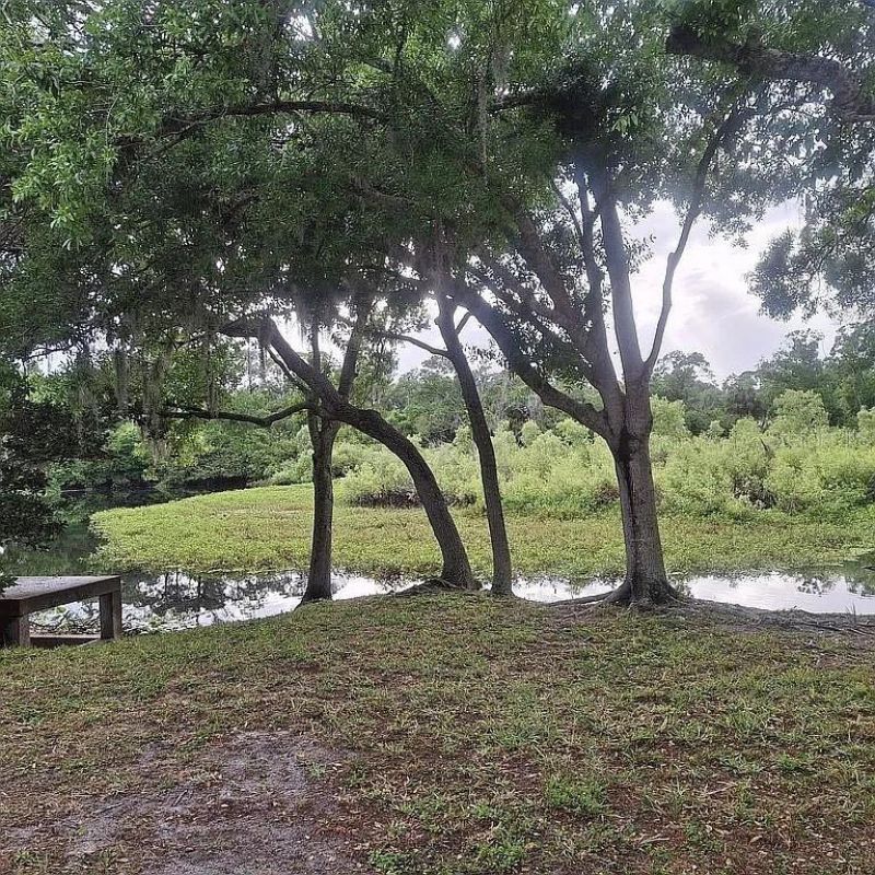 3530 Crystal Lakes Court , Sarasota, FL 34235 Photo