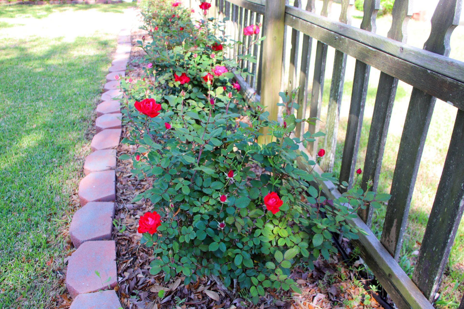 104 Pine Court Photo 4