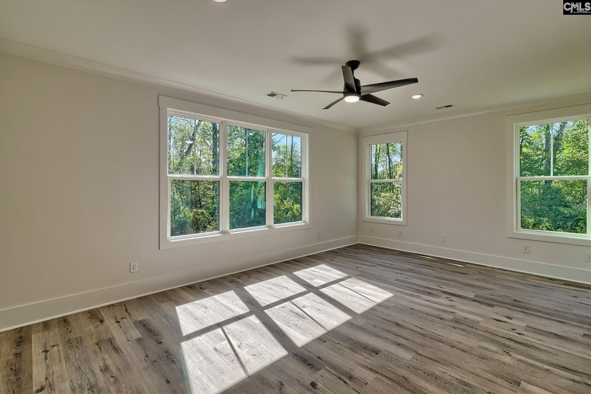 246 Backspin Drive Photo 17