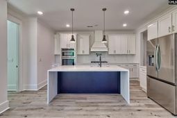 246 Backspin Drive photo 4