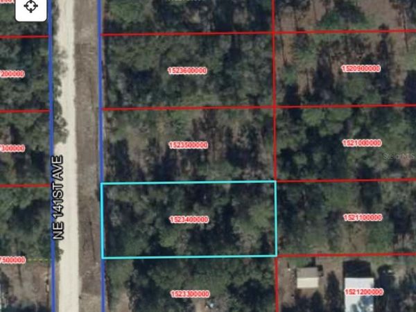 TBD NE 141 AVENUE , WILLISTON, FL 32696
