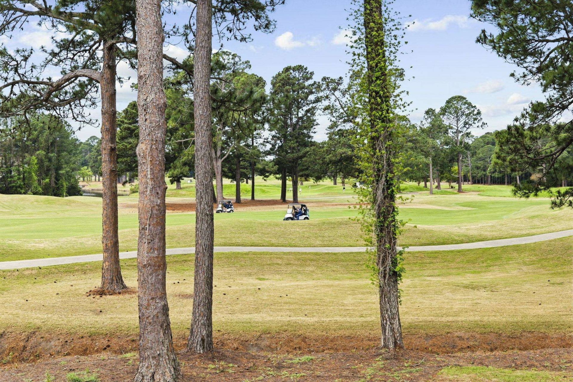 4870 Luster Leaf Circle  Photo 29