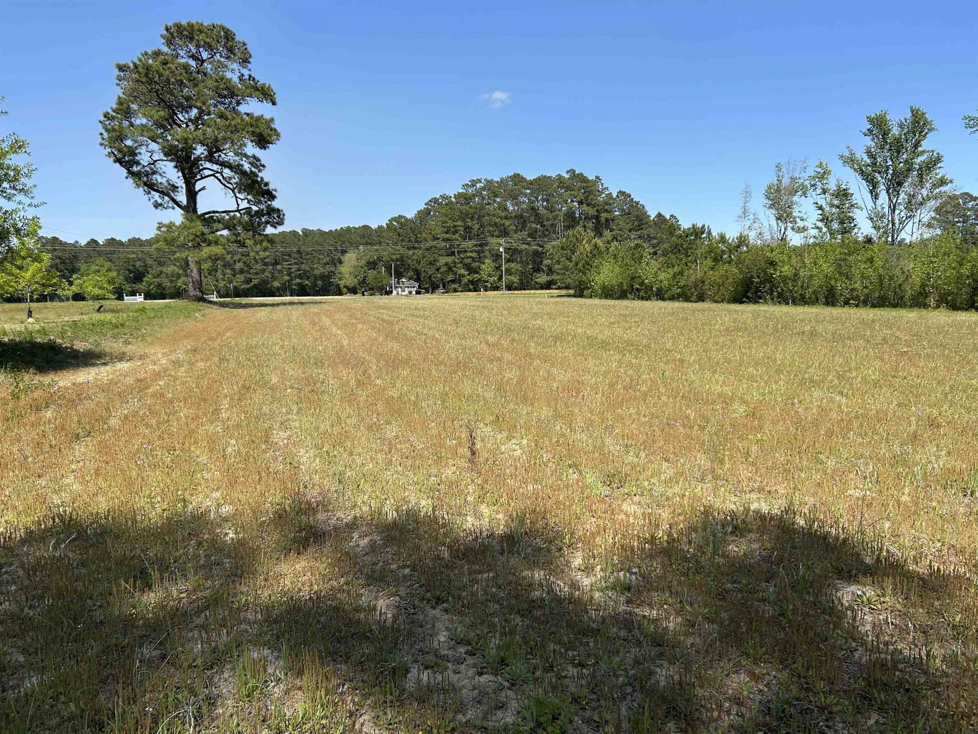 Tbd Choppee Rd. Photo 2