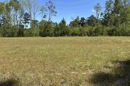 Tbd Choppee Rd. photo 4