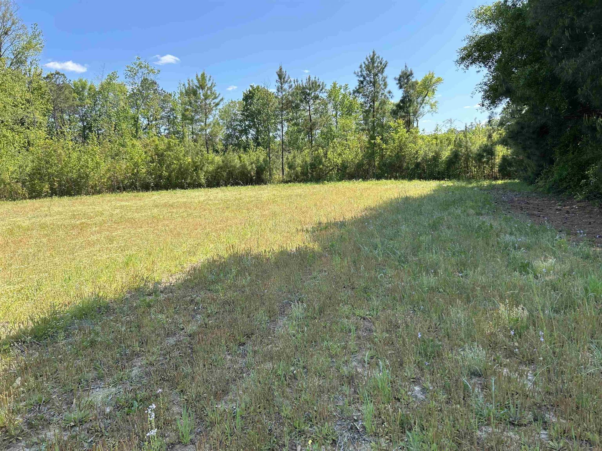 Tbd Choppee Rd. Photo 4