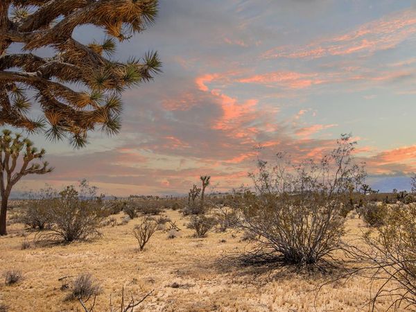 60531 Cielito Drive , Joshua Tree, CA 92252