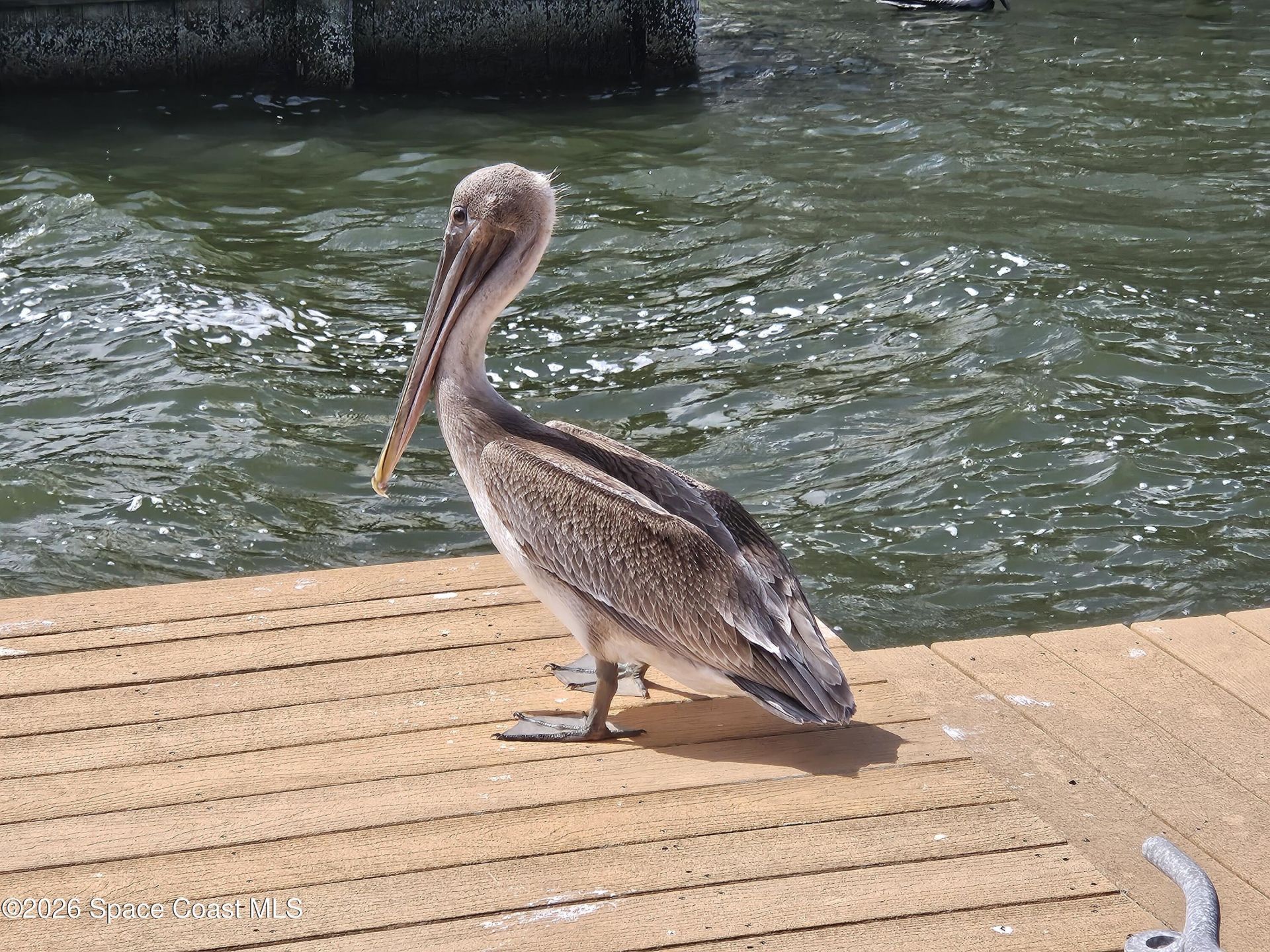 540 S Banana River Drive , Unit 103, Merritt Island, FL 32952 Photo