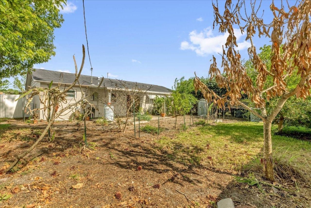 1412 S Oxalis Avenue , Orlando, FL 32807 Photo