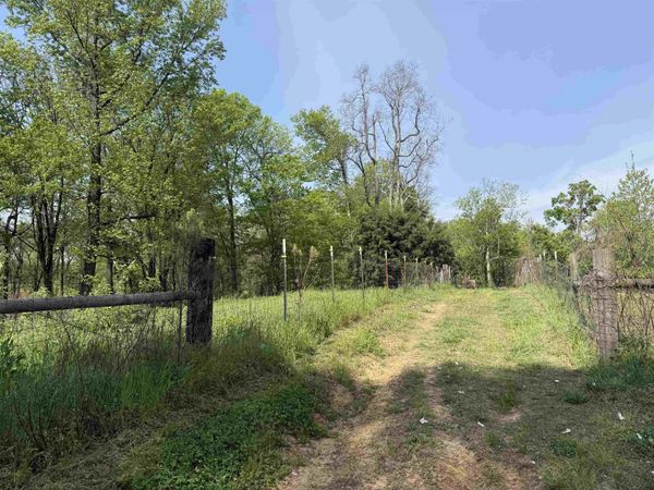0 NEEDHAM RD, Unincorporated, TN 38023