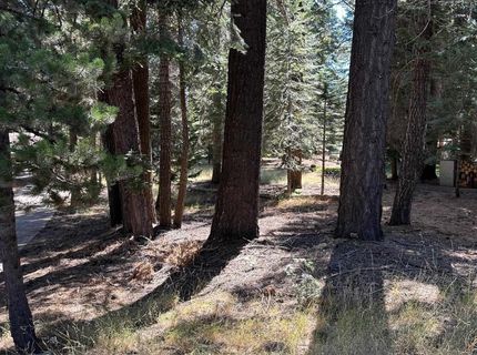 1276 Lassen View Drive, Lake Almanor, CA 96137 Photo