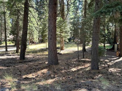 1276 Lassen View Drive, Lake Almanor, CA 96137 Photo