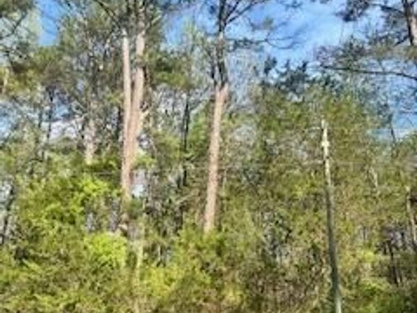 186 PATRICK HENRY DRIVE , RUTHER GLEN, VA 22546