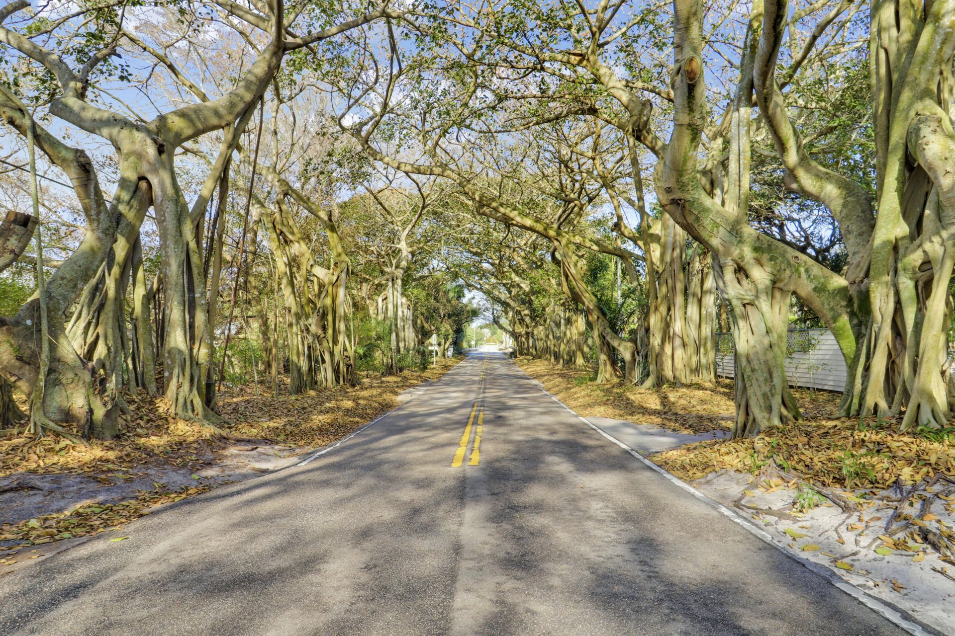 8675 SE Keathley, Hobe Sound, FL 33455 Photo