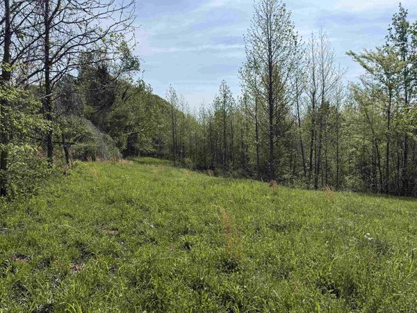 00 NEEDHAM RD, Unincorporated, TN 38023