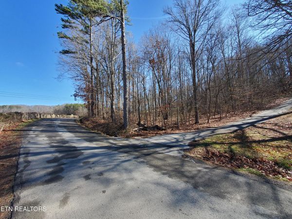 0 Lester Jarnigan Rd, Rutledge, TN 37861