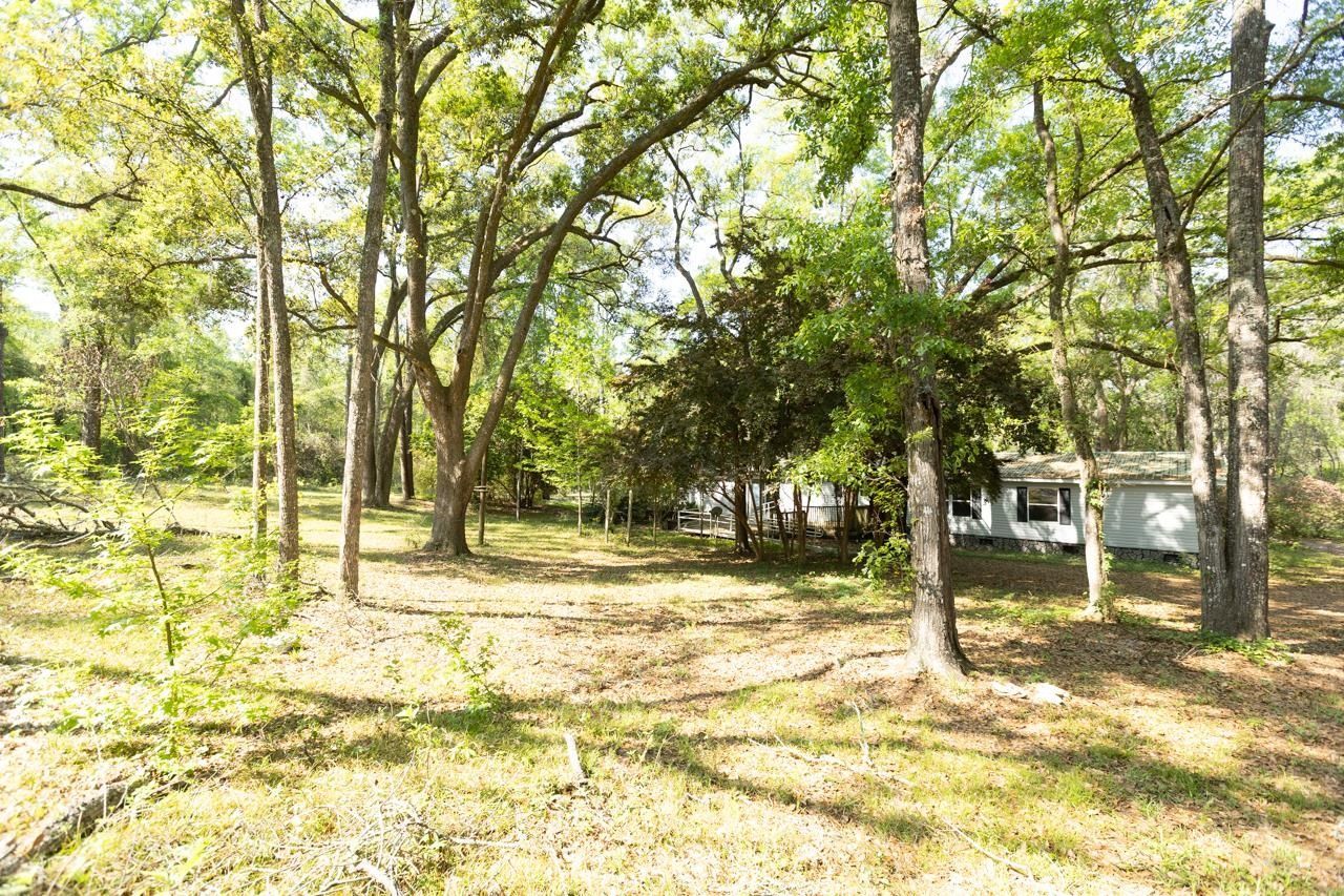 629 Smokehouse Farms Drive, Greenville, FL 32331 Photo