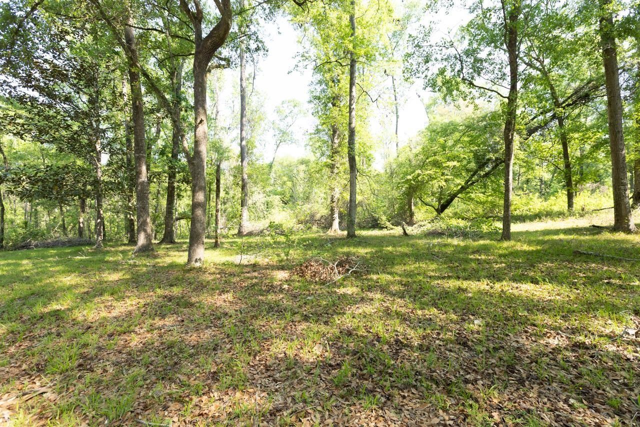 629 Smokehouse Farms Drive, Greenville, FL 32331 Photo